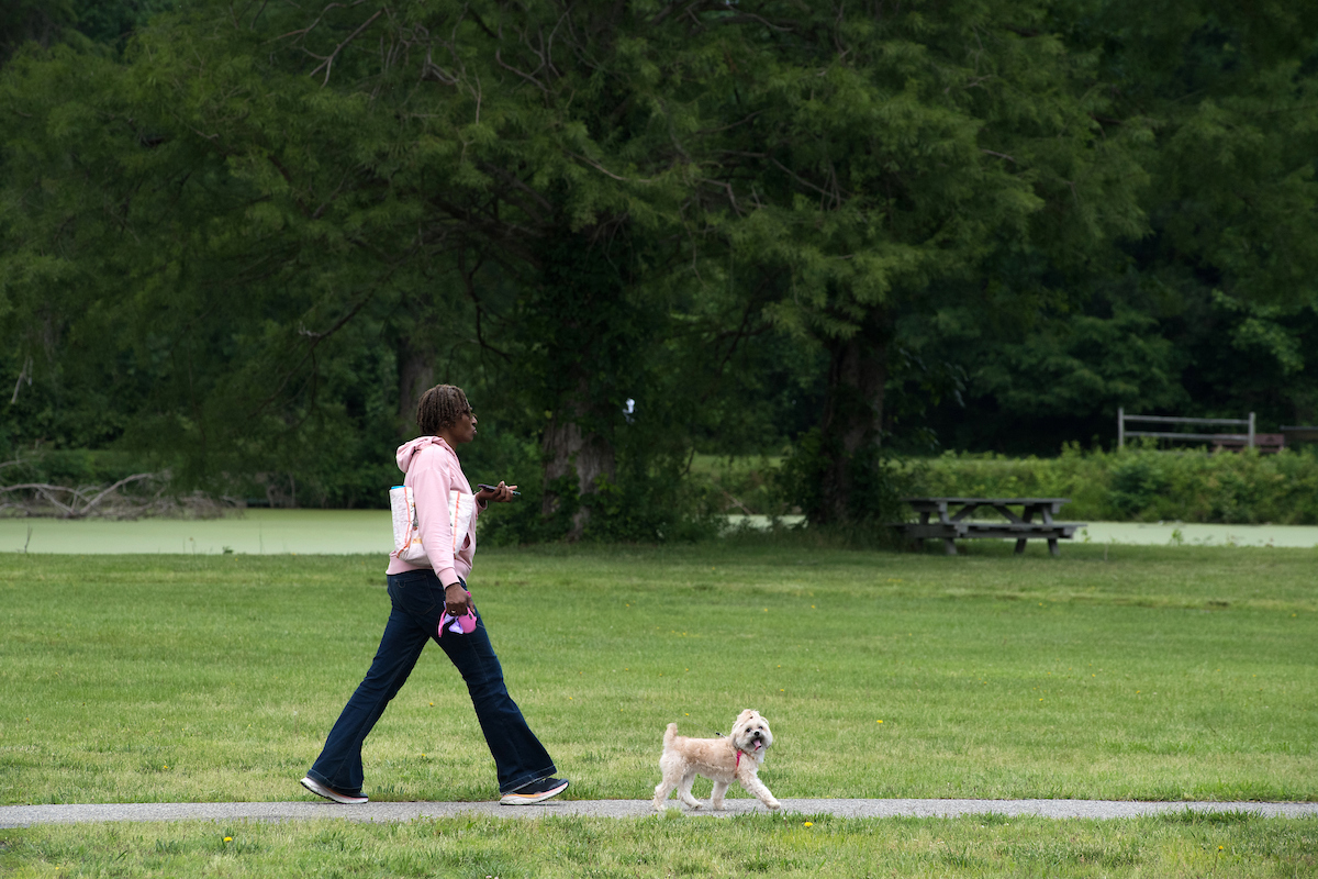 A woman walks a small white dog on a paved trail in a flat, grassy field. The dog's head is turned toward the camera as if it's smiling for the photo. In the background is a picnic table under a tree, next to a pond covered in green algae.
