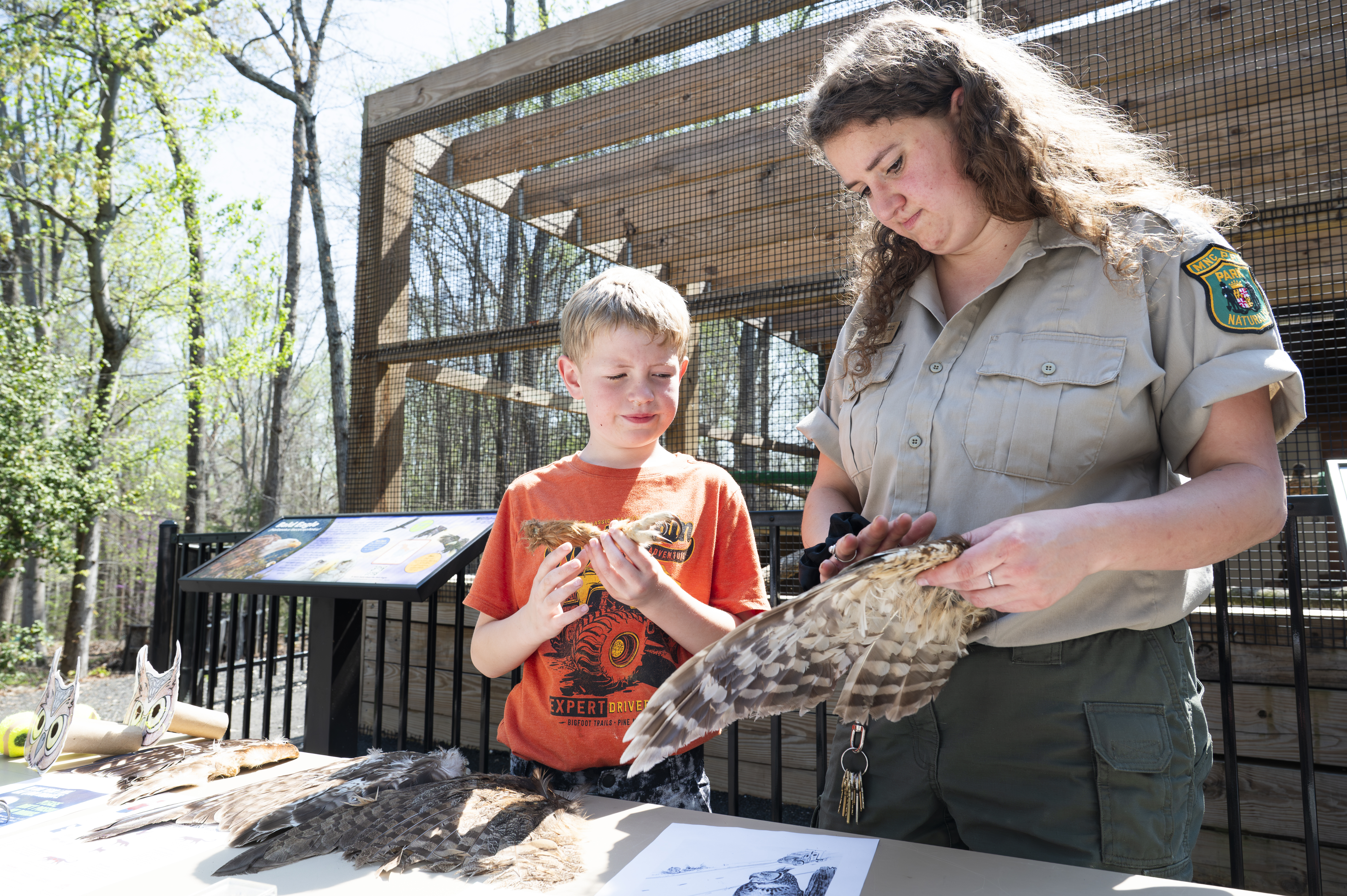 Child and nature center staff member examine bird feathers at an outdoor educational table beside an animal enclosure during a community nature program.