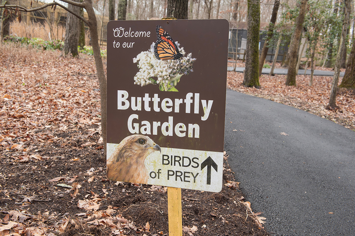 Closeup of a sign reading Welcome to our Butterfly Garden, with an arrow directing toward Birds of Prey. There are several buildings in the distance.