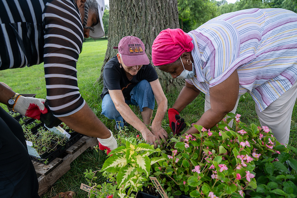 Three women sorting through trays of seedlings in the grass under the shade of a large tree.